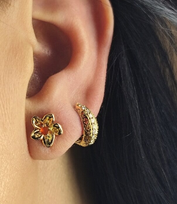 Micro Carnelian Studs